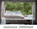 Smashed glass Window with old wooden frame. old window. finely broken glass. old house, retro. cracked window frame. cracked old paint, pieces of glass. close-up, space for text. horror, halloween