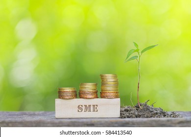 SME Golden Coin Stacked With Wooden Bar On Shallow DOF Green Background