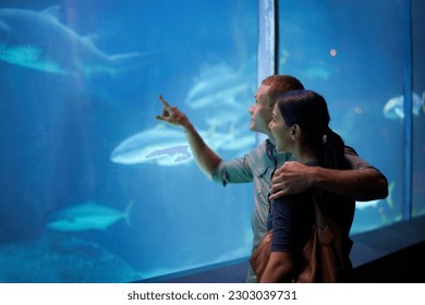 Smile, aquarium and couple pointing at fish on vacation, holiday or date together. Happiness, oceanarium and man and woman watching marine life, animals swimming underwater in fishtank and hugging - Powered by Shutterstock