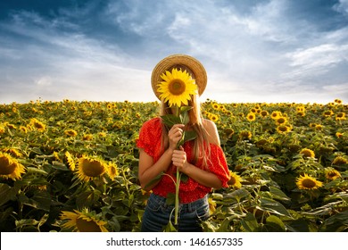 Smile Girl In Field Sunflower