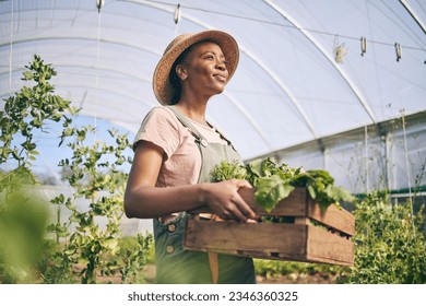 Smile, greenhouse and black woman on farm with vegetables in sustainable business, nature and sunshine. Agriculture, garden and happy female farmer in Africa, green plants and agro farming in field.