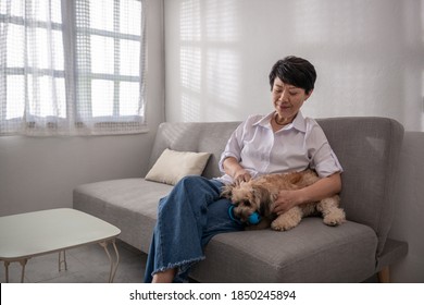 Smile Middle-aged Mature Grey Haired Asian Woman Playing With A Dog, Happy Old Lady Posing At Home Indoor, Positive Single Senior Retired Female Sitting On A Sofa In The Living Room.