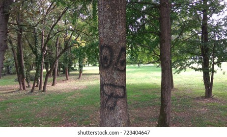 Smiley on the tree.