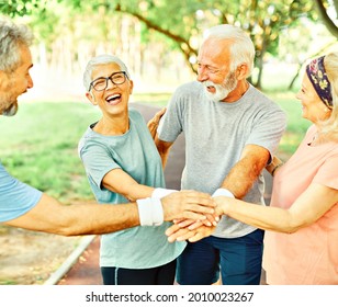 Smiling active senior people posing together holding hands  in the park