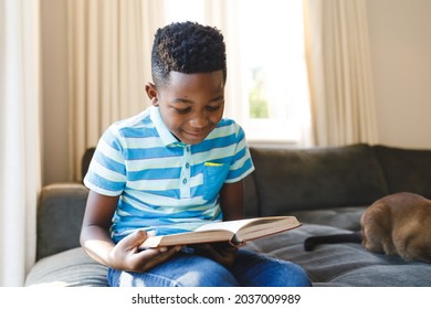 Smiling african american boy reading book and sitting on couch with cat in living room. spending time alone at home. - Powered by Shutterstock