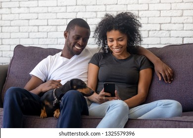 Smiling African American Couple In Love Using Phone, Surfing Internet, Black Man Sitting With Dog, Embracing Girlfriend, Happy Woman Holding Smartphone, Chatting In Social Network, Browsing App