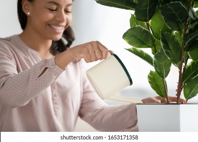 Smiling african American woman hold pot watering green plant at home, happy young biracial female housewife take care of flower, pour liquid, fertilize enrich ground, horticulture, gardening concept - Powered by Shutterstock