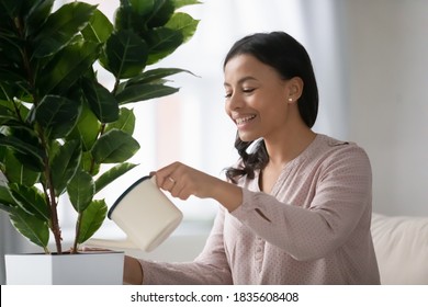 Smiling African American young woman hold pot can water green house plant at home. Happy biracial housewife pour liquid take care of flower, fertilize enrich ground. Gardening, horticulture concept. - Powered by Shutterstock