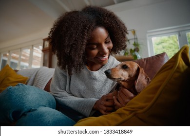 Smiling African Woman Playing With Pet Wiener Dog At Home Sitting On Couch