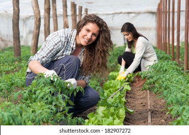 Smiling agriculture woman worker in front and colleague in back