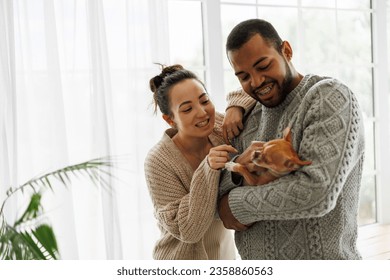 Smiling asian woman in sweater playing with chihuahua dog near african american boyfriend at home - Powered by Shutterstock