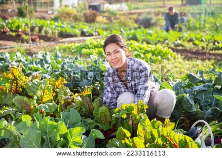 Smiling asian woman working in home vegetable garden, checking beet crops..