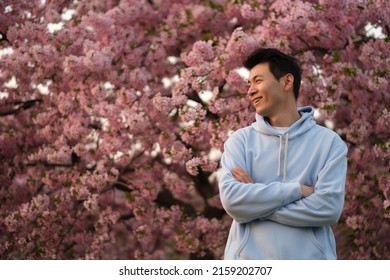 Smiling Asian Young Man Arm Crossing, Side Face Looking Away. Blur Pink Sakura Tree Background