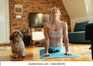 Smiling Athletic Woman In Cobra Pose Practicing Yoga With Her Dog At Home. 