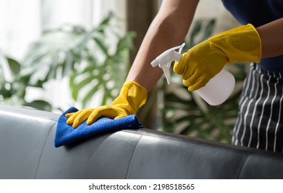 Smiling Attractive Asian Young Man Cleaning His House With Rag And Spray Cleaner.