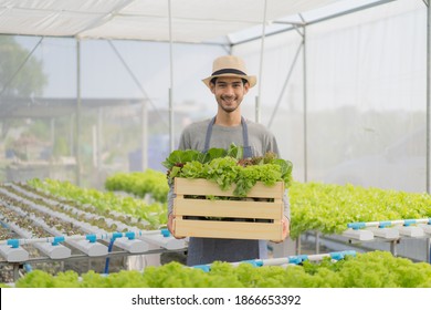 Smiling attractive young Asian male farmer with a beard in apron and straw hat standing, holding a wooden crate full of a variety of organic vegetables freshly harvested from organic greenhouse farm. - Powered by Shutterstock