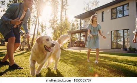 Smiling Beautiful Family Of Four Play Catch Flying Disc With Happy Golden Retriever Dog On The Backyard Lawn. Idyllic Family Has Fun With Loyal Pedigree Dog Outdoors In Summer House.