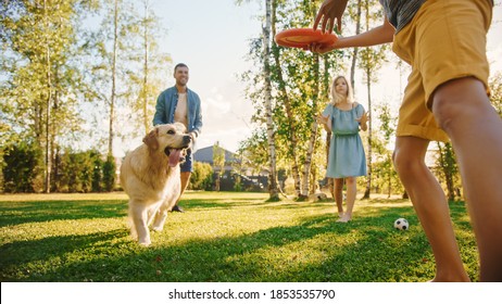 Smiling Beautiful Family of Four Play Soccer with Happy Golden Retriever Dog at the Backyard Lawn. Idyllic Family Having Fun with Loyal Pedigree Puppy Outdoors in Summer House. Handheld Ground Shot