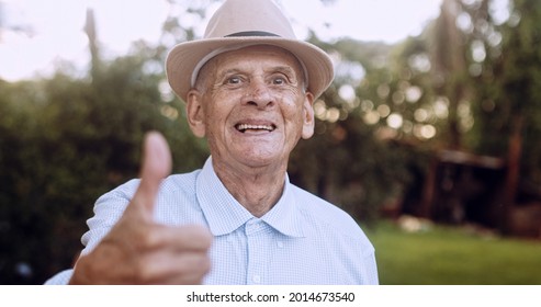 Smiling beautiful older male Latin farmer. Elderly man at farm in summer day. Gardening activity. Brazilian elderly man.