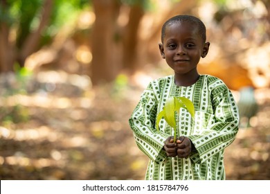 Smiling beautiful small African kid, dressed in a traditional outfit, holding a mango seedling in a shaded tree area in a suburb of Niamey, capital of Niger