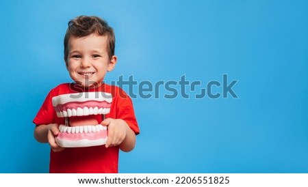 A smiling boy with healthy teeth holds a large jaw in his hands on a blue isolated background. Oral hygiene. Pediatric dentistry. Prosthetics. Rules for brushing teeth. A place for your text.