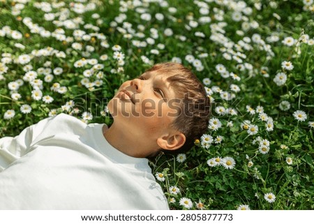 Smiling Boy Lying in Daisy Meadow on Sunny Spring Day