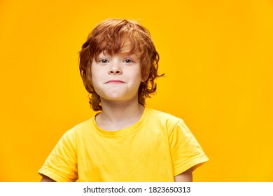 Smiling Boy Red Hair Closeup Portrait Stock Photo 1823650313 | Shutterstock