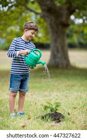 Smiling boy watering a young plant in park