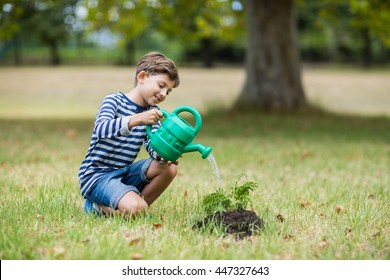 Smiling boy watering a young plant in park