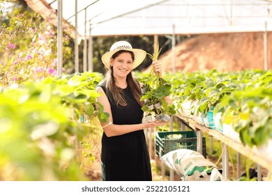 A smiling Brazilian woman farmer holds strawberry seedlings in a sustainable greenhouse. This image promotes family farming, organic agriculture, and small business efforts in local food production - Powered by Shutterstock