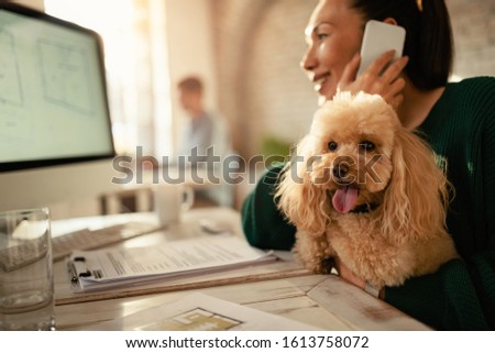 Smiling businesswoman talking on the phone while holding her poodle in the office. Focus is on dog. 
