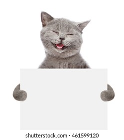 Smiling Cat Holding A White Banner. Isolated On White Background
