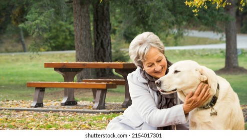 Smiling Caucasian Senior Woman With Dog Sitting On Grass Against Trees In Park During Winter. Pet, Love, Togetherness, Unaltered, Senior Citizens, Retirement And Awareness Concept.