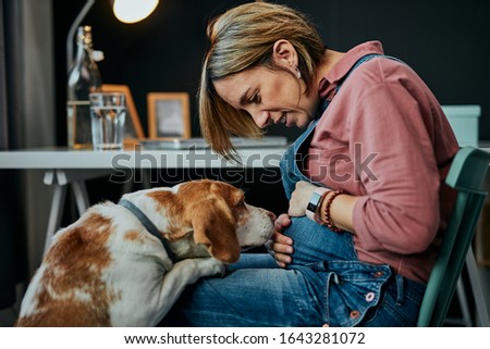 Smiling charming caucasian pregnant woman sitting at home office, touching belly and looking at her beloved dog. Dog is curious and wants to play with her.