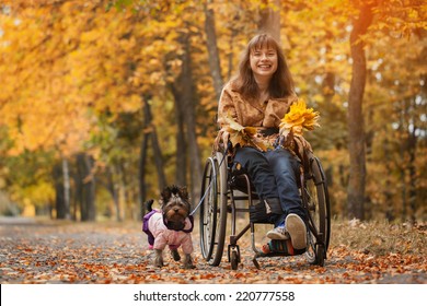 the smiling cheerful girl on a wheelchair with the dog in autumn road