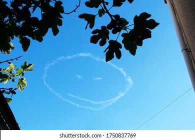 A smiling cloud face drawn by a skywriter in an aeroplane looks down from a blue sky between houses and silhouetted by the leaves of a fig tree.