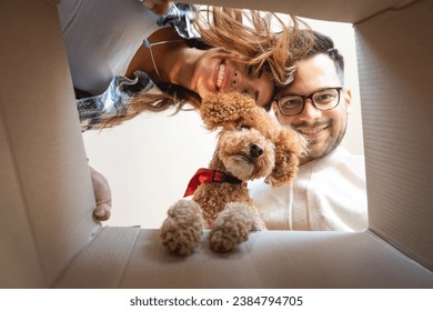 Smiling content young adult couple looking into the box together with adorable brown poodle dog. - Powered by Shutterstock