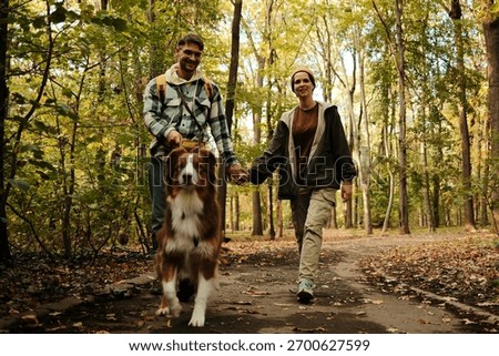 Smiling couple holding hands while walking Australian Shepherd dog along autumn forest path. Concept of love, nature, and recreation.