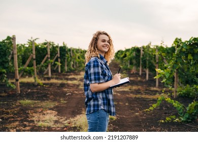 Smiling Curly Woman Examines The Vineyard And Recording Data In The Notebook. Farmer Field. Data Analysis.