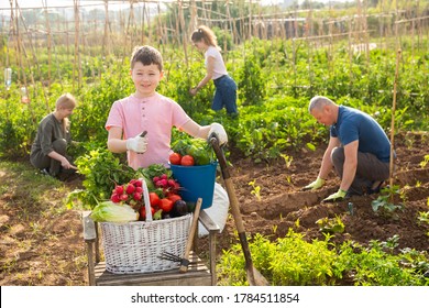 Smiling Cute Tween Boy Posing Crop Stock Photo (Edit Now) 1784511854