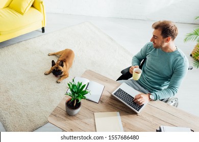 Smiling disabled man with laptop and cup looking on french bulldog in living room - Powered by Shutterstock