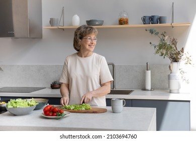 Smiling dreamy middle aged mature woman in eyewear looking in distance, distracted from chopping vegetables for salad, visualizing future or planning weekend enjoying cooking alone in modern kitchen.