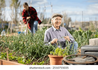 Smiling elderly woman caring for green onion sprouts while working in garden during daytime in April - Powered by Shutterstock