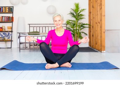 Smiling Elderly Woman Gray Hair Does Stock Photo 2201699199 | Shutterstock