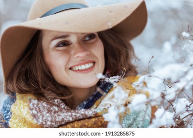 Smiling Elegant Middle Aged Woman In Brown Hat And Scarf Outdoors In The City Park In Winter Near Snowy Branches.