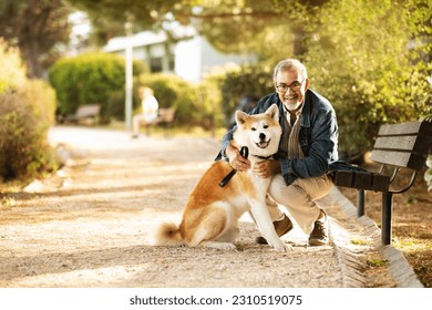 Smiling european old man in casual and glasses enjoy walk with dog and spare time, hugs in park, outdoor. Pet love, friend, animal care and fun together in city, sun flare - Shutterstock ID 2310519075