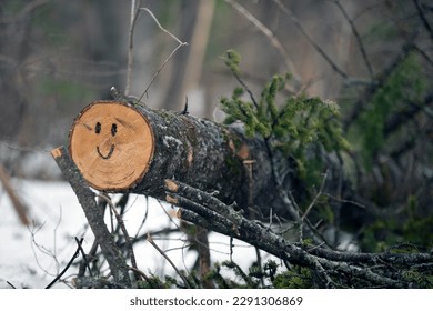 Smiling face on a log in the forest in the winter.