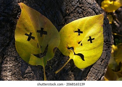 Smiling face and sad face with X eyes. Two yellow characters carved on leaves with X's for eyes. Emotions, mental health, human behavior, and psychology concepts.  - Shutterstock ID 2068165139