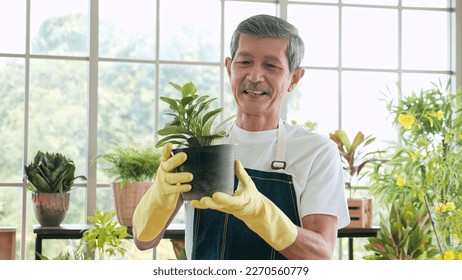 Smiling face of senior gardener Asian man holding plant trees pot relaxing in garden green house - Powered by Shutterstock