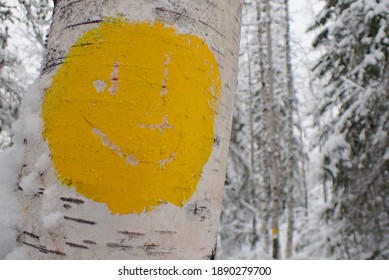 Smiling face in a tree